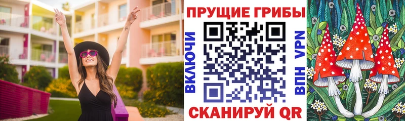 Галлюциногенные грибы Psilocybine cubensis  что такое   Углич 
